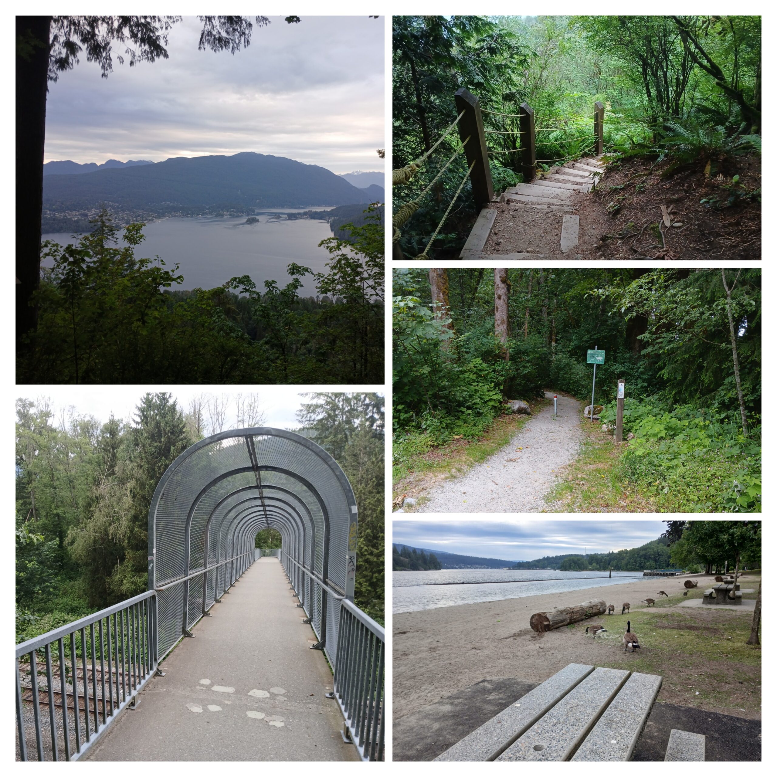 From SFU to Barnet Marine Park.